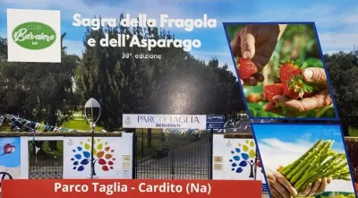 Sagra della Fragola e dell'Asparago 2025 a Cardito