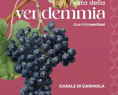 Programma Festa della Vendemmia 2026