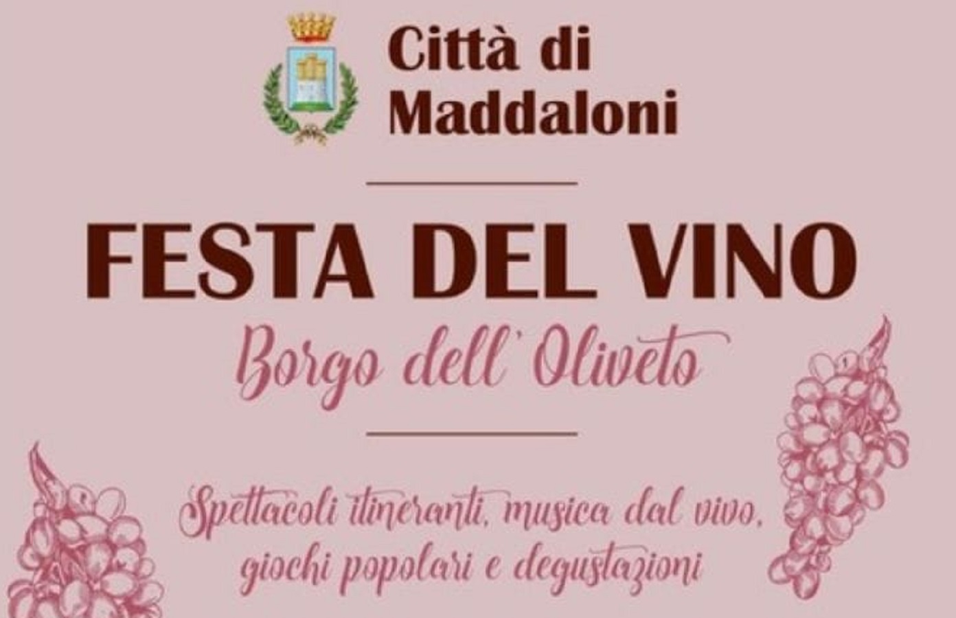 Festa del vino 2024 Maddaloni.jpg