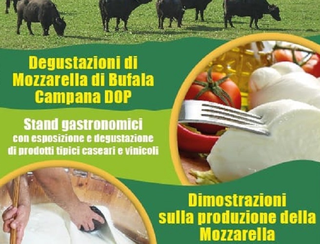 Festival della mozzarella di bufala 2019 Pastorano